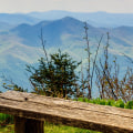 Exploring the Great Outdoors in Lowcountry South Carolina: A Guide to Outdoor Retailers
