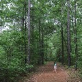 Exploring Lowcountry South Carolina: The Best Outdoor Retailers for Hiking and Backpacking Gear
