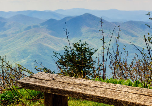 Exploring the Great Outdoors in Lowcountry South Carolina: A Guide to Outdoor Retailers