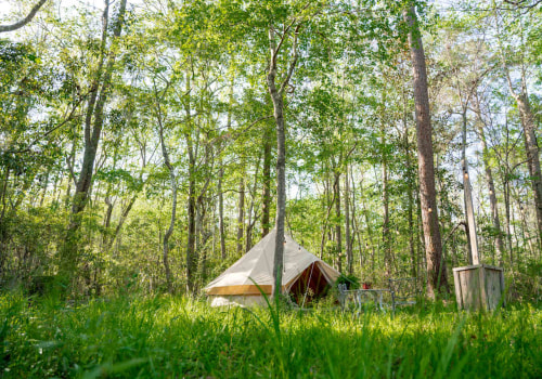 The Ultimate Guide to Camping Gear in Lowcountry South Carolina